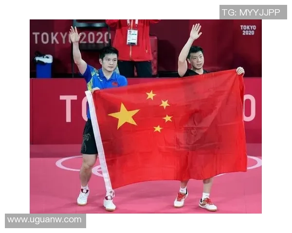 杭州排球队展现卓越团队协作精神大满贯点评分析其成功之道