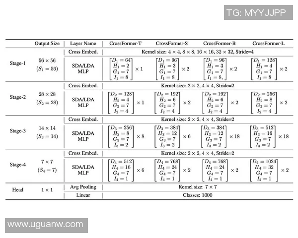 北京篮球队运营分析:成功经验与面临挑战的深度探讨 北京篮球队运营分析:成功经验与面临挑战的深度探讨