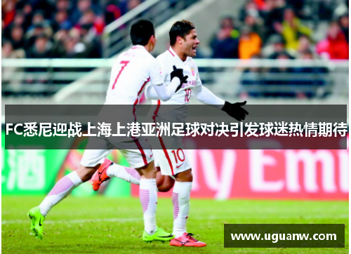 FC悉尼迎战上海上港亚洲足球对决引发球迷热情期待
